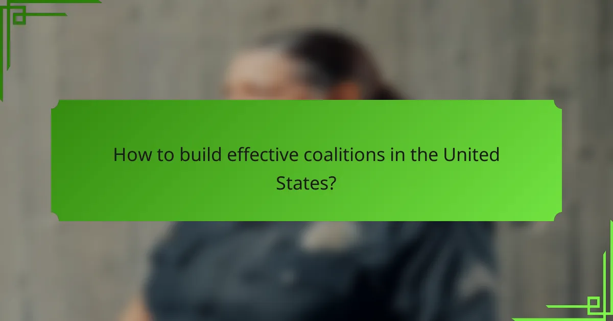 How to build effective coalitions in the United States?