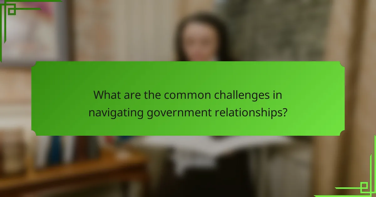 What are the common challenges in navigating government relationships?