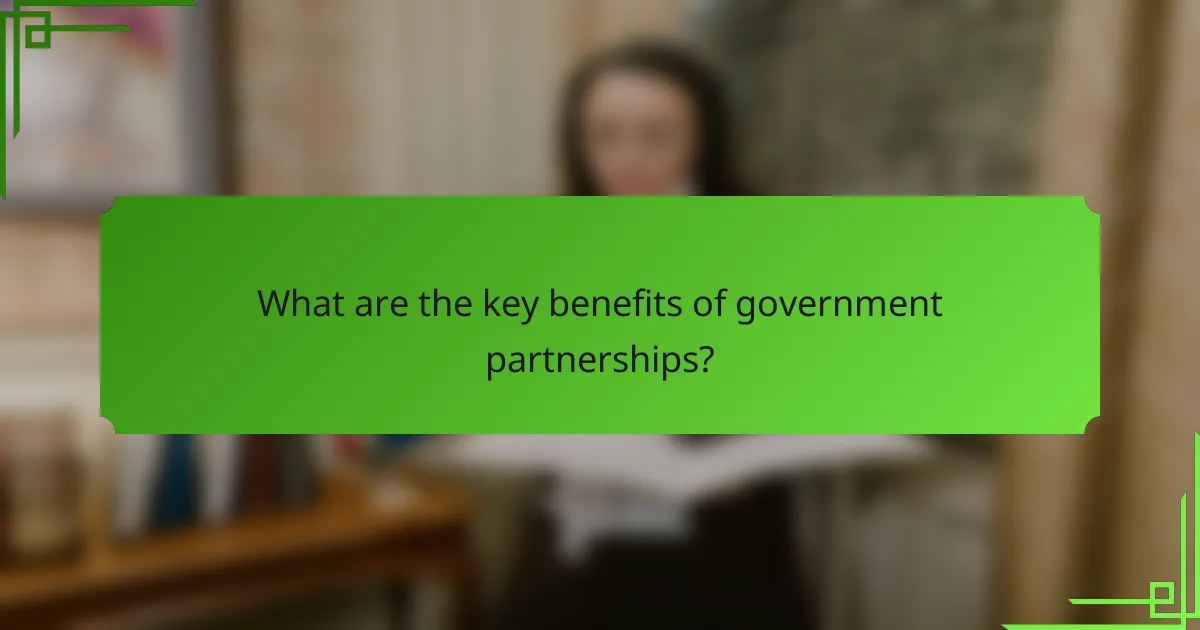 What are the key benefits of government partnerships?