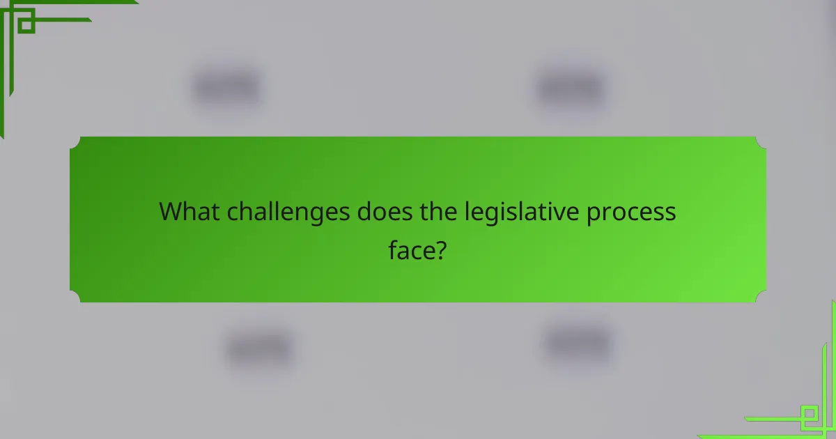 What challenges does the legislative process face?