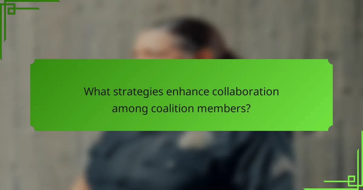 What strategies enhance collaboration among coalition members?